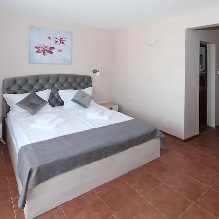 酒店 Perla 索佐波尔